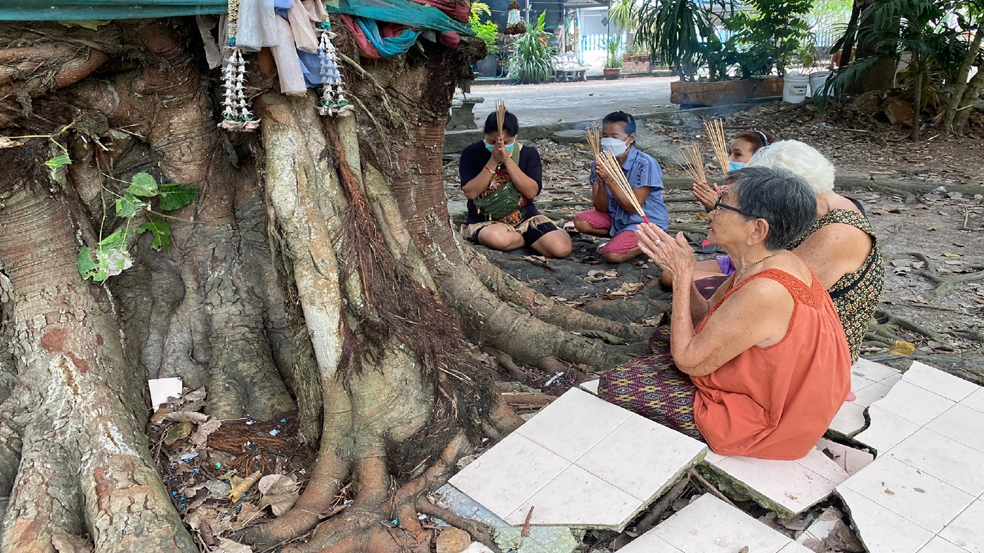 ชาวบ้านคลอง11 แห่ขอเลขเด็ดต้นโพธิ์ให้โชคหลังถูกหวยติดต่อกัน 4 งวด