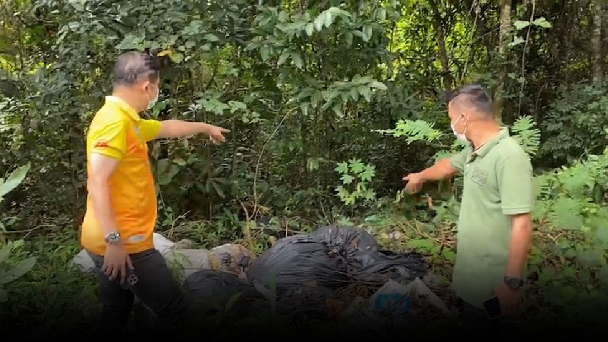 เตือนมือดีทิ้งขยะในเขตเขาใหญ่ หวั่นสัตว์ป่าเป็นอันตรายออกหากิน เตือนมือดีทิ้งขยะในเขตเขาใหญ่ หวั่นสัตว์ป่าเป็นอันตรายออกหากิน