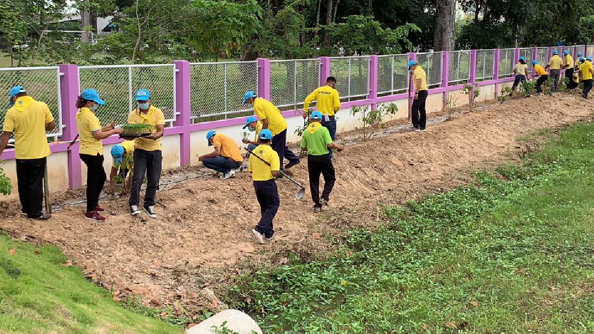 จิตอาสาปลูกดาวเรืองด้วยใจ ถวายพ่อหลวง ร.๙