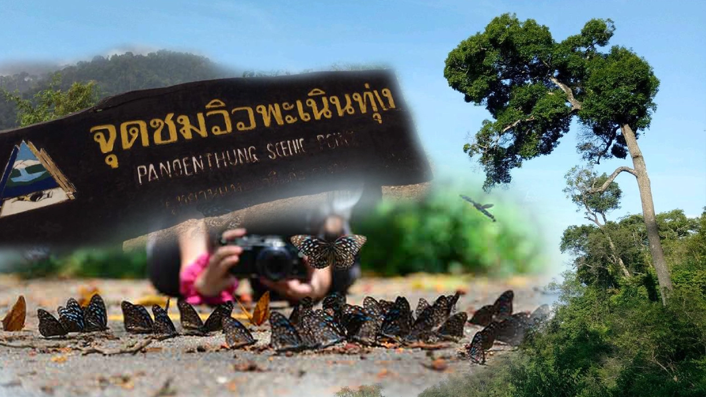 อช.แก่งกระจาน พร้อมเปิดให้ขึ้น "พะเนินทุ่ง" 15 ตุลาคมนี้ อช.แก่งกระจาน พร้อมเปิดให้ขึ้น "พะเนินทุ่ง" 15 ตุลาคมนี้