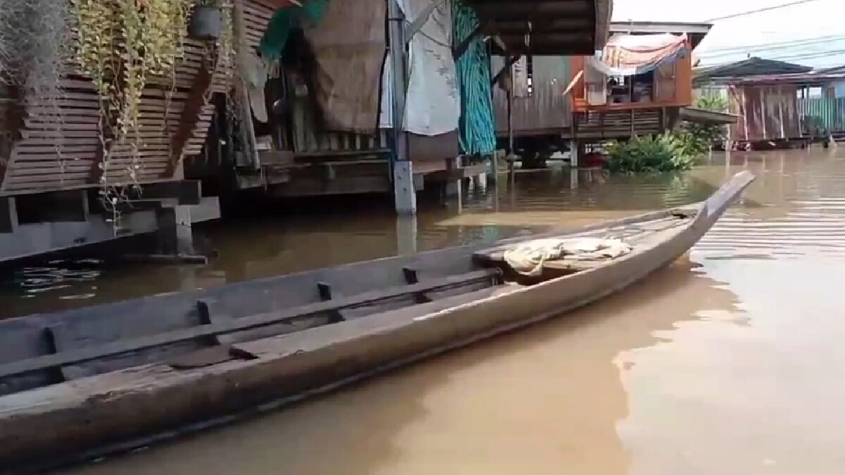 ผักไห่น้ำยังสูงถึงขอบหน้าต่าง ต้องลอยเรือหลบร้อนตามต้นไม้ ผักไห่น้ำยังสูงถึงขอบหน้าต่าง ต้องลอยเรือหลบร้อนตามต้นไม้