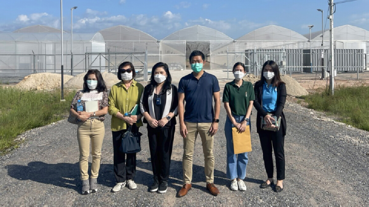ผู้บริหาร “EE” ควงแขน “นางฟ้ากัญชา” ชม “โรงเรือนกัญชง CBD Agro-Tech Center” เตรียมเปิดฤดูกาลเพาะปลูกอย่างเป็นทางการเร็วๆนี้ ผู้บริหาร “EE” ควงแขน “นางฟ้ากัญชา” ชม “โรงเรือนกัญชง CBD Agro-Tech Center” เตรียมเปิดฤดูกาลเพาะปลูกอย่างเป็นทางการเร็วๆนี้
