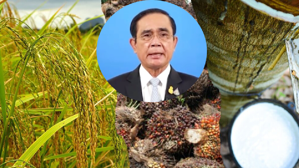 โฆษกรัฐบาล เผย “นายกฯ”ปลื้ม มูลค่าส่งออกสินค้าเกษตร ขยายตัว 11.58%
