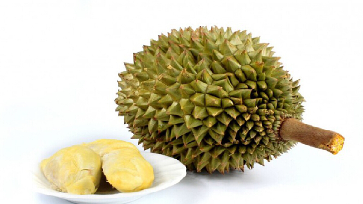 พาณิชย์ ขึ้นทะเบียนสินค้า GI “ทุเรียนจันท์” พาณิชย์ ขึ้นทะเบียนสินค้า GI “ทุเรียนจันท์”