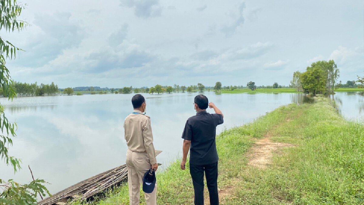 กาฬสินธุ์น้ำชีหนุนสูงท่วมกระจายหลายพื้นที่ กาฬสินธุ์น้ำชีหนุนสูงท่วมกระจายหลายพื้นที่
