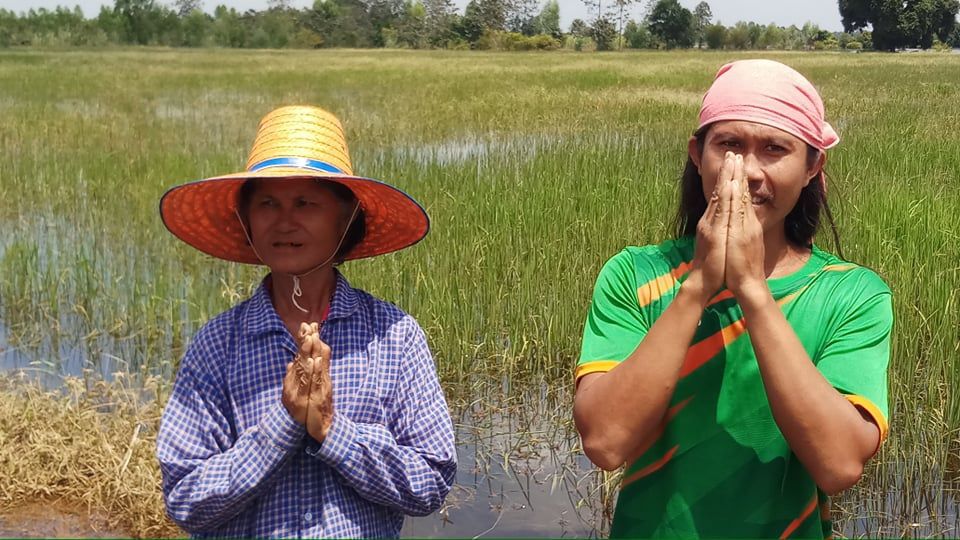 เกษตรกรน้ำตาริน นาข้าวถูกน้ำท่วมเสียหาย วอนหน่วยงานรัฐเยียวยา