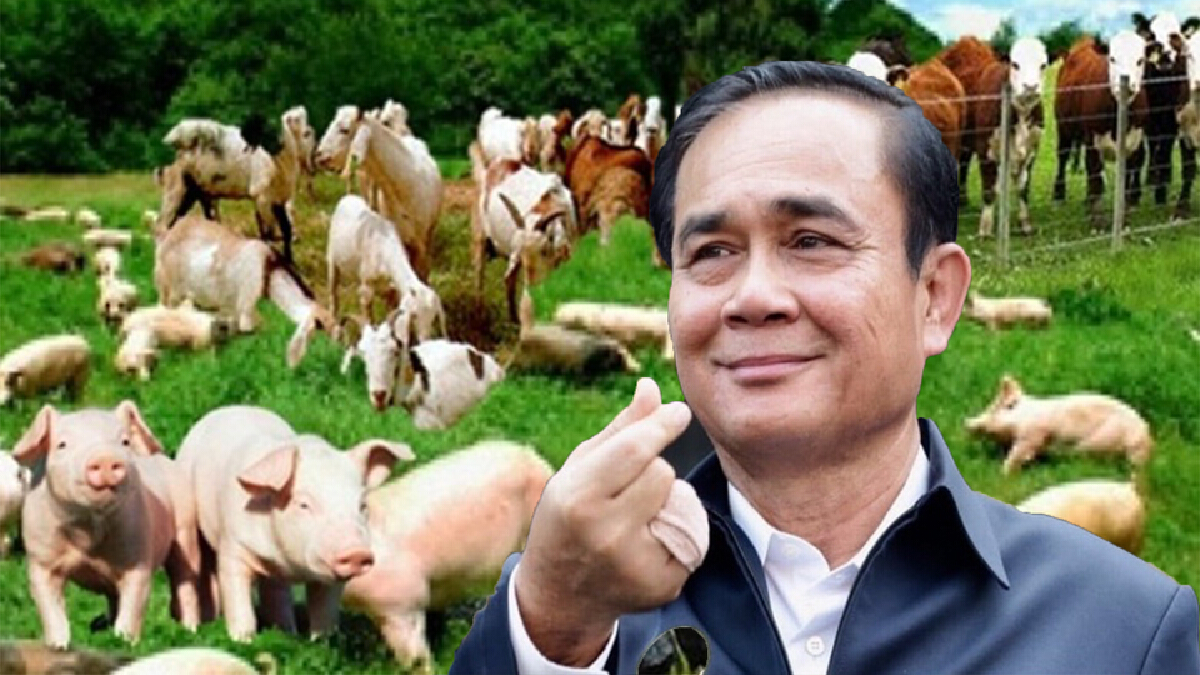 “นายกฯ” ตั้ง Sandbox ปศุสัตว์ สร้างความยั่งยืนให้เกษตรกร “นายกฯ” ตั้ง Sandbox ปศุสัตว์ สร้างความยั่งยืนให้เกษตรกร