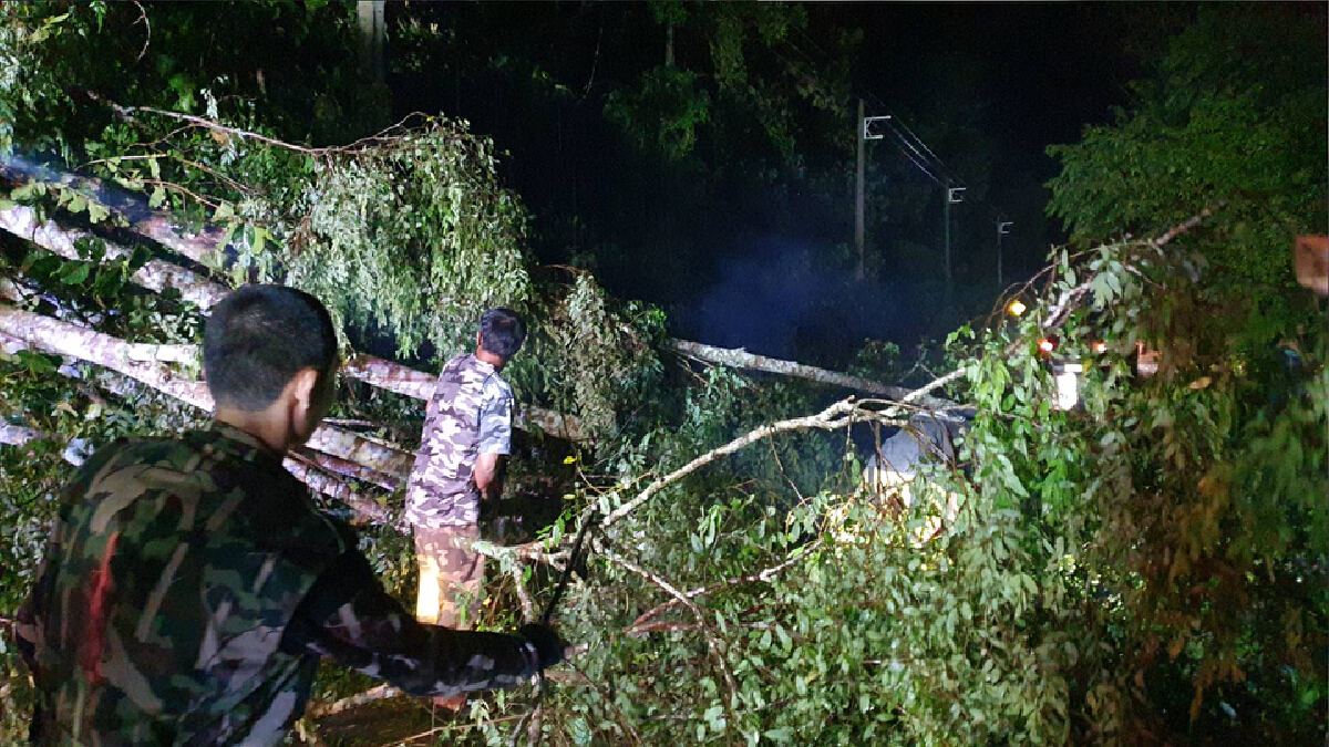 พายุถล่มต้นไม้ล้มขวางถนนสายเชียงใหม่-พร้าว พายุถล่มต้นไม้ล้มขวางถนนสายเชียงใหม่-พร้าว