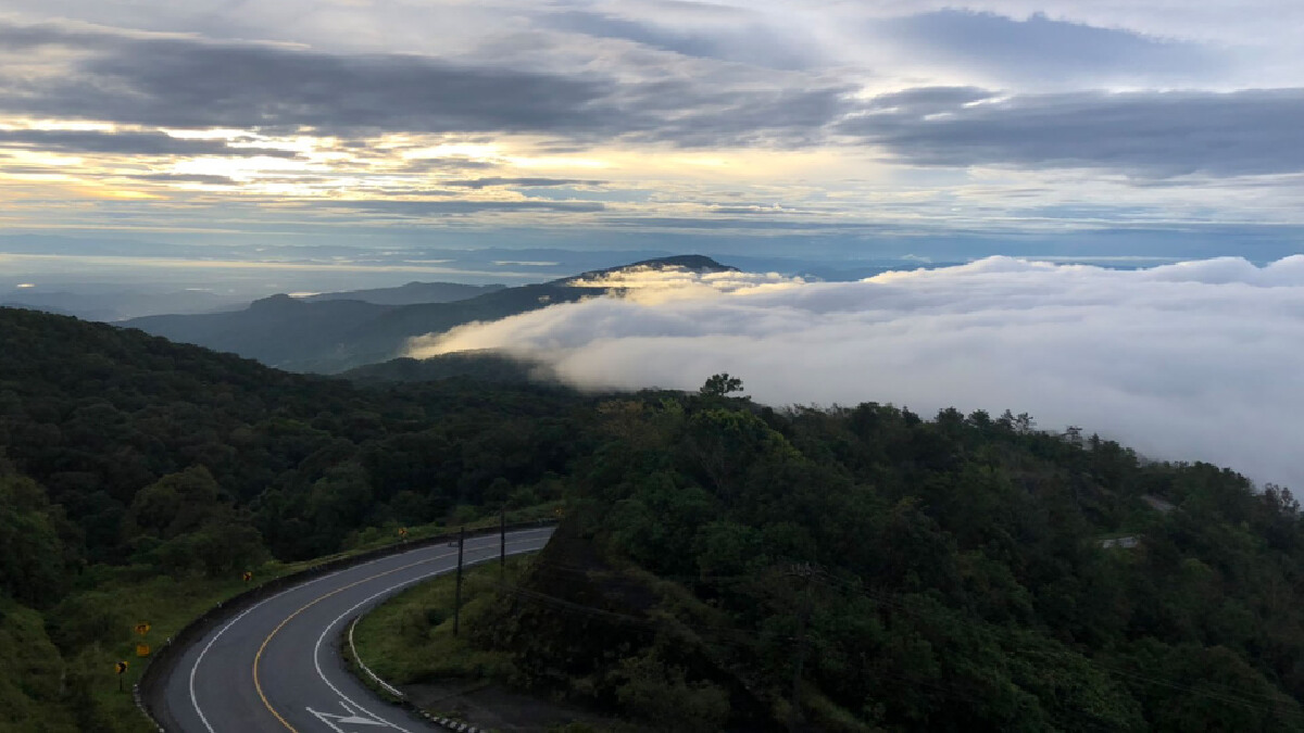 ดอยอินทนนท์หนาวอุณหภูมิวูบเหลือ9องศาฯ