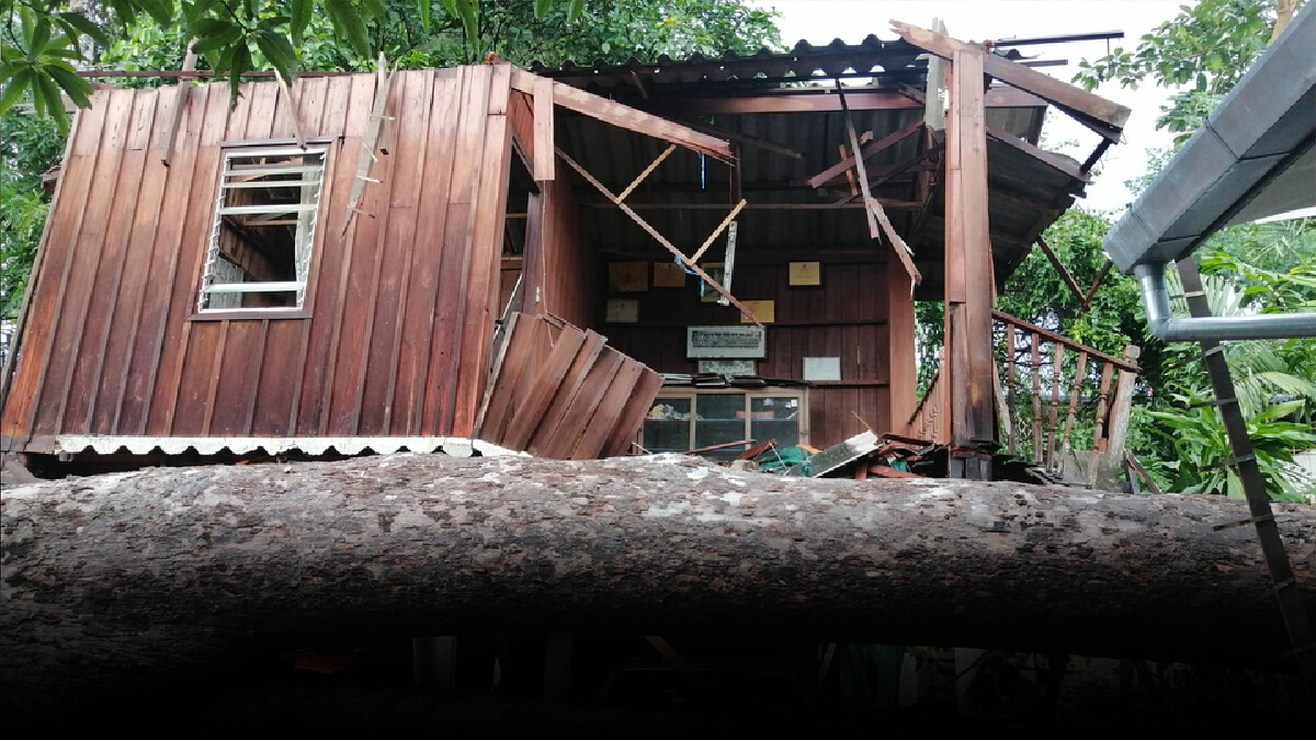 ที่สุดในประวัติศาสตร์! ต้นยางนาโค่นทับบ้านพังหลายสิบหลัง