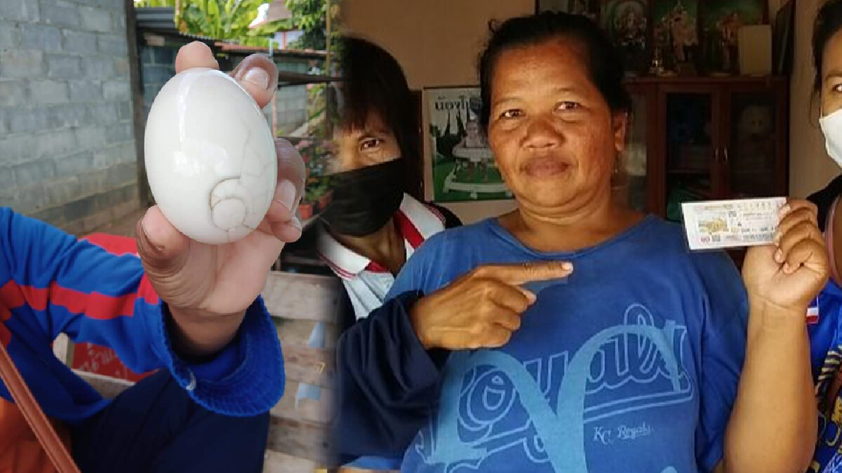 ชาวบ้านแห่ส่องตัวเลขบนไข่ไก่ที่ทำเป็นไข่เค็มลุ้นหวยงวดนี้ ชาวบ้านแห่ส่องตัวเลขบนไข่ไก่ที่ทำเป็นไข่เค็มลุ้นหวยงวดนี้