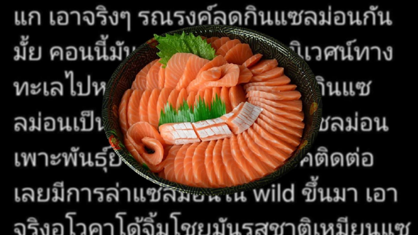 "เชฟไทย" โต้โซเชียลรณรงค์หยุดกิน "ปลาแซลมอน" อ้างกระทบระบบนิเวศ "เชฟไทย" โต้โซเชียลรณรงค์หยุดกิน "ปลาแซลมอน" อ้างกระทบระบบนิเวศ