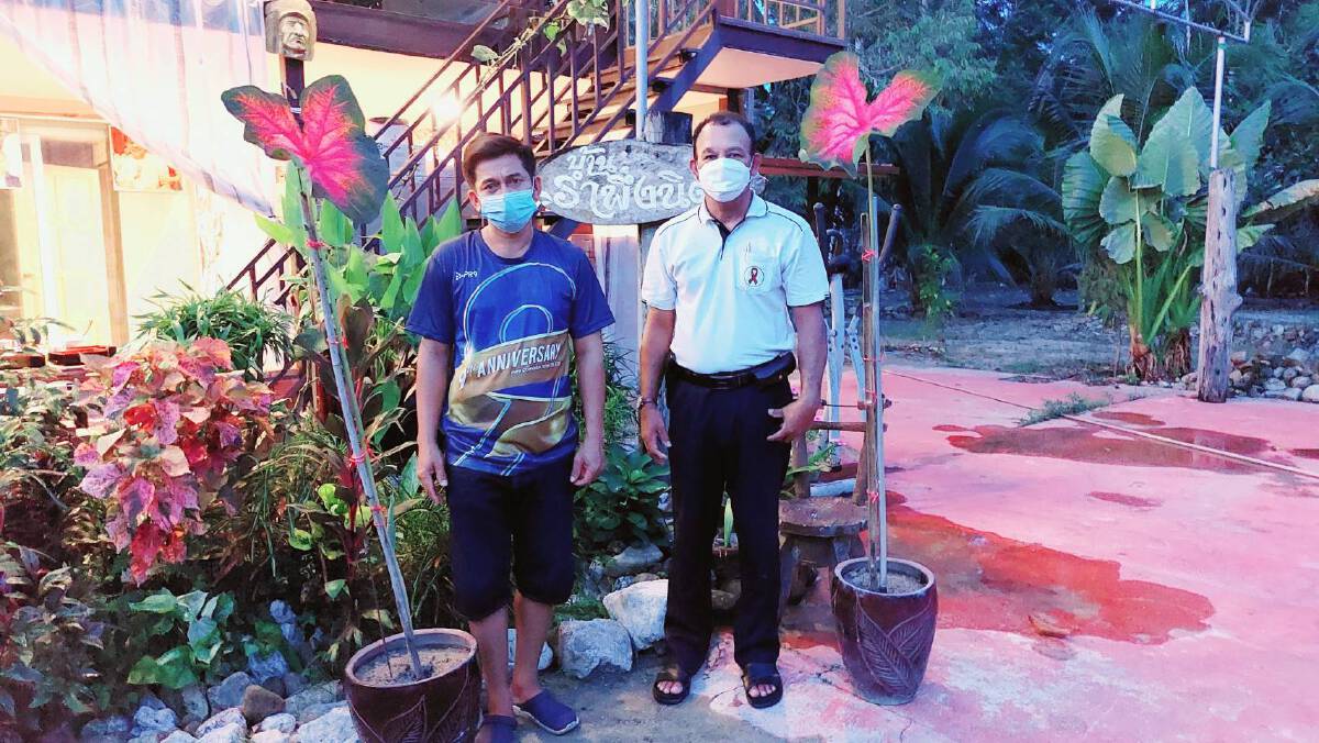 ฮือฮา! ชายวัย 53 ปีพบต้นบอนสียักษ์สูงเกือบ 2 เมตร เจ้าตัวเผยให้โชคต่อเนื่อง