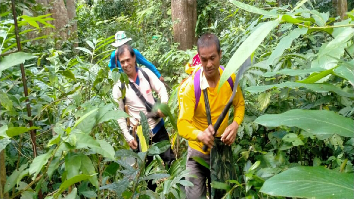 สำรวจเส้นทางเดินป่าชมทุ่งโนนสน-รอประกาศเปิดให้ นทท.สายลุยได้เข้าชม