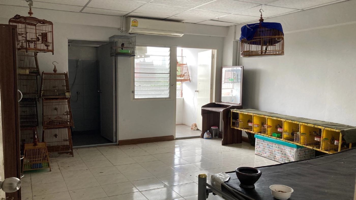 จับพ่อค้า“นก”ขายออนไลน์ เปิดห้องเลี้ยงกลางกรุง