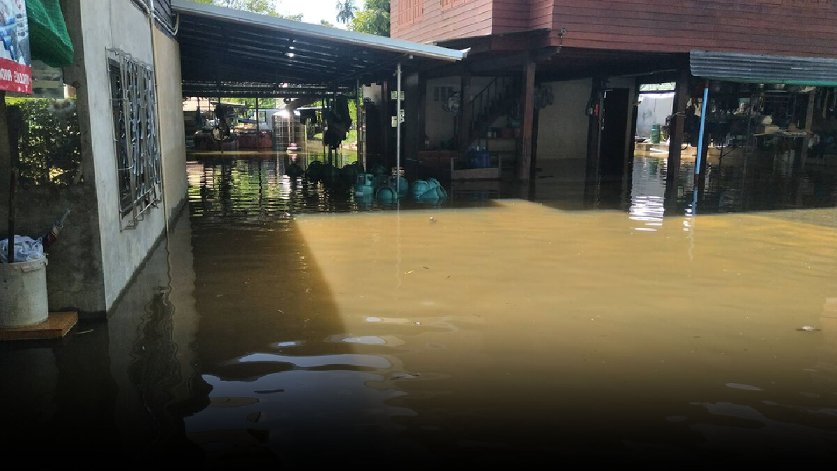 ลำบริบูรณ์สมทบลำเชียงไกรทะลักท่วมถนนและบ้านเรือนประชาชน ลำบริบูรณ์สมทบลำเชียงไกรทะลักท่วมถนนและบ้านเรือนประชาชน