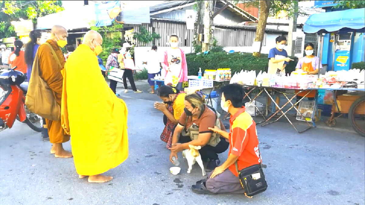 "ไอ้ขอด"แมวขาจร ออกมารับศีลรับพรจากพระทุกเช้า "ไอ้ขอด"แมวขาจร ออกมารับศีลรับพรจากพระทุกเช้า