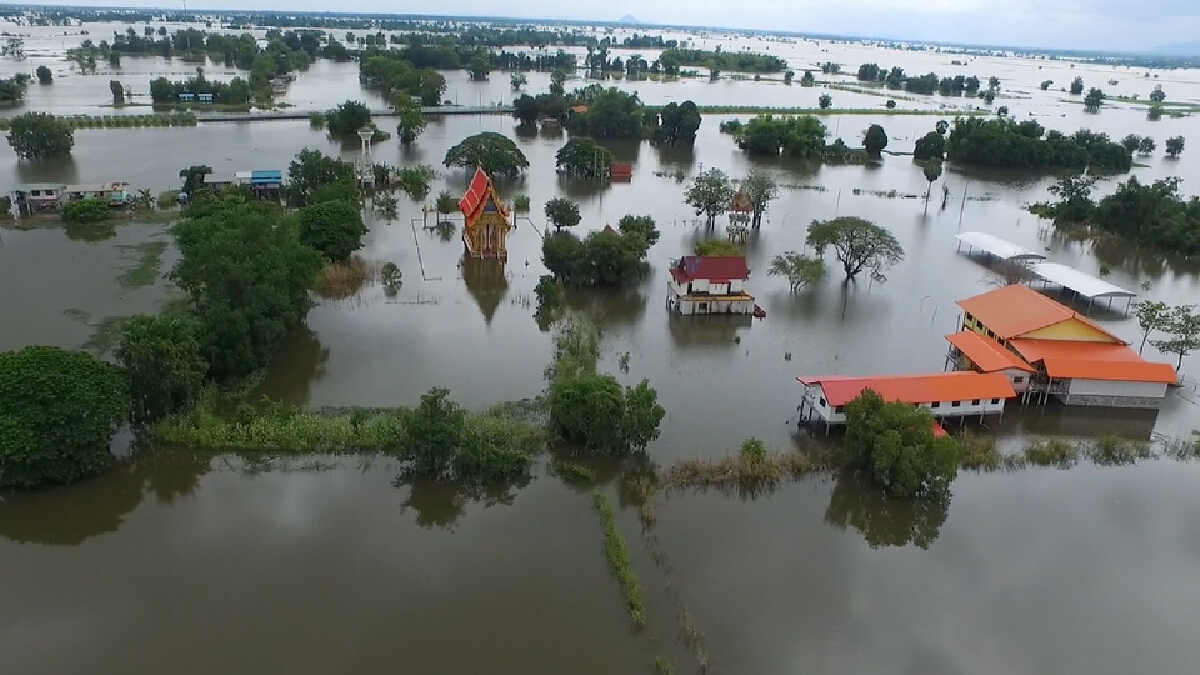 พื้นที่การเกษตรทั่วประเทศถูกน้ำท่วมเสียหายกว่า 3.9 ล้านไร่ พื้นที่การเกษตรทั่วประเทศถูกน้ำท่วมเสียหายกว่า 3.9 ล้านไร่