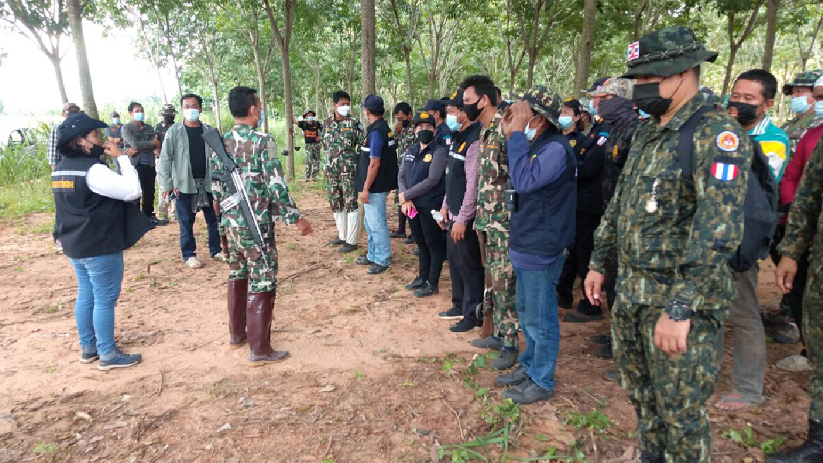 ทับลานระดม จนท.ประสานพื้นที่ครบุรีเข้าผลักดันเสือโคร่งกลับป่า ทับลานระดม จนท.ประสานพื้นที่ครบุรีเข้าผลักดันเสือโคร่งกลับป่า