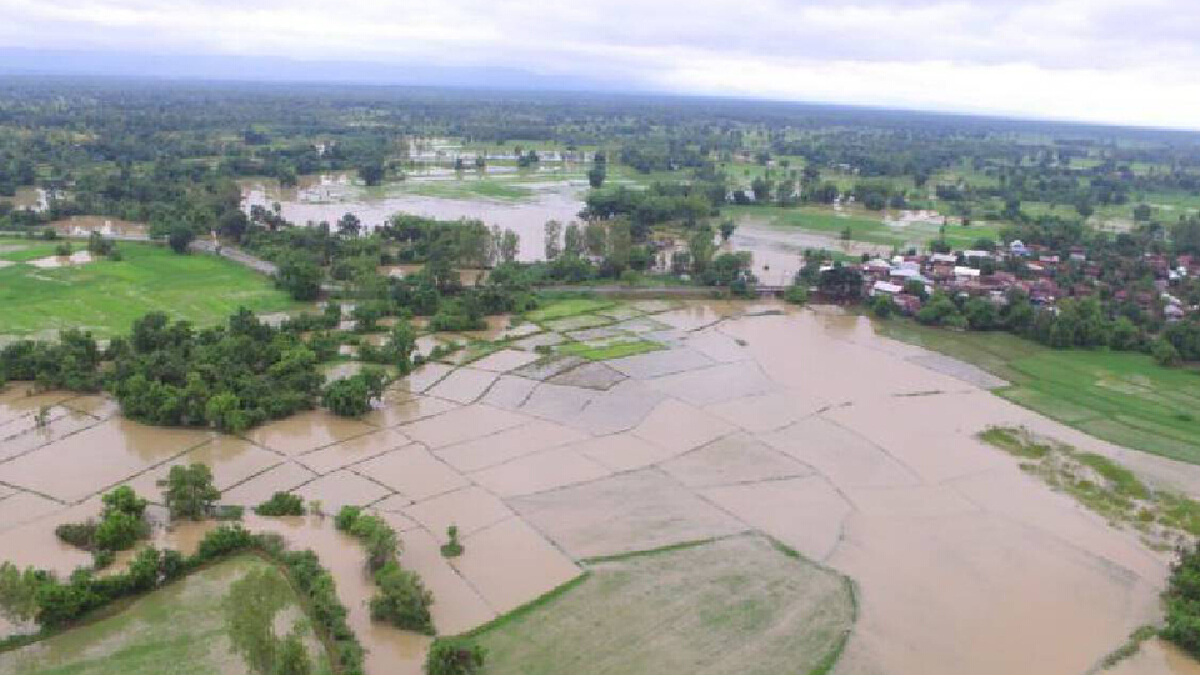เกษตรฯ จ่ายเยียวยา ’ไร่นา’ เสียหายพุ่ง 5.29 ล้านไร่ เกษตรฯ จ่ายเยียวยา ’ไร่นา’ เสียหายพุ่ง 5.29 ล้านไร่