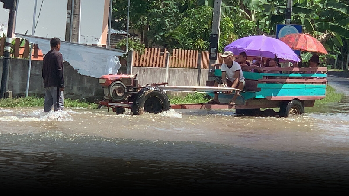 เกษตรกรระทมน้ำท่วมรอบสอง นาข้าวเป็นทะเล