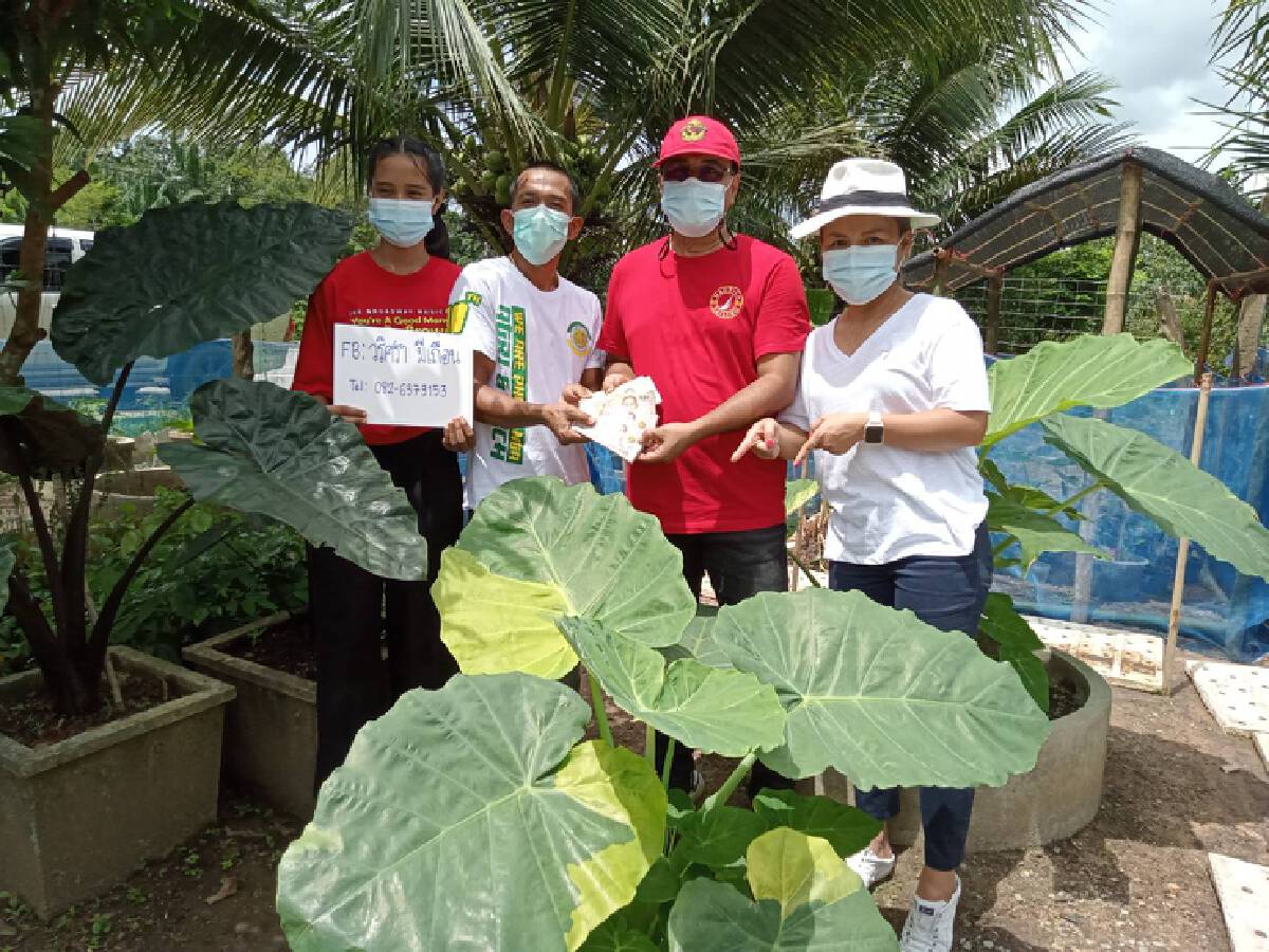 หนุ่มหอบเงินครึ่งล้านซื้อ "ออดิบด่างเหลือง" ที่กระบี่