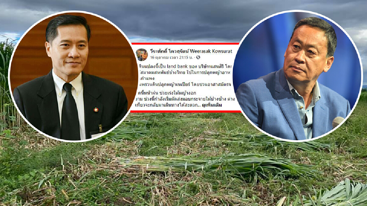 "วีระศักดิ์" ชื่นชมแสนสิริ ให้ใช้ที่ดินปลูกหญ้าเนเปียร์ช่วยช้าง