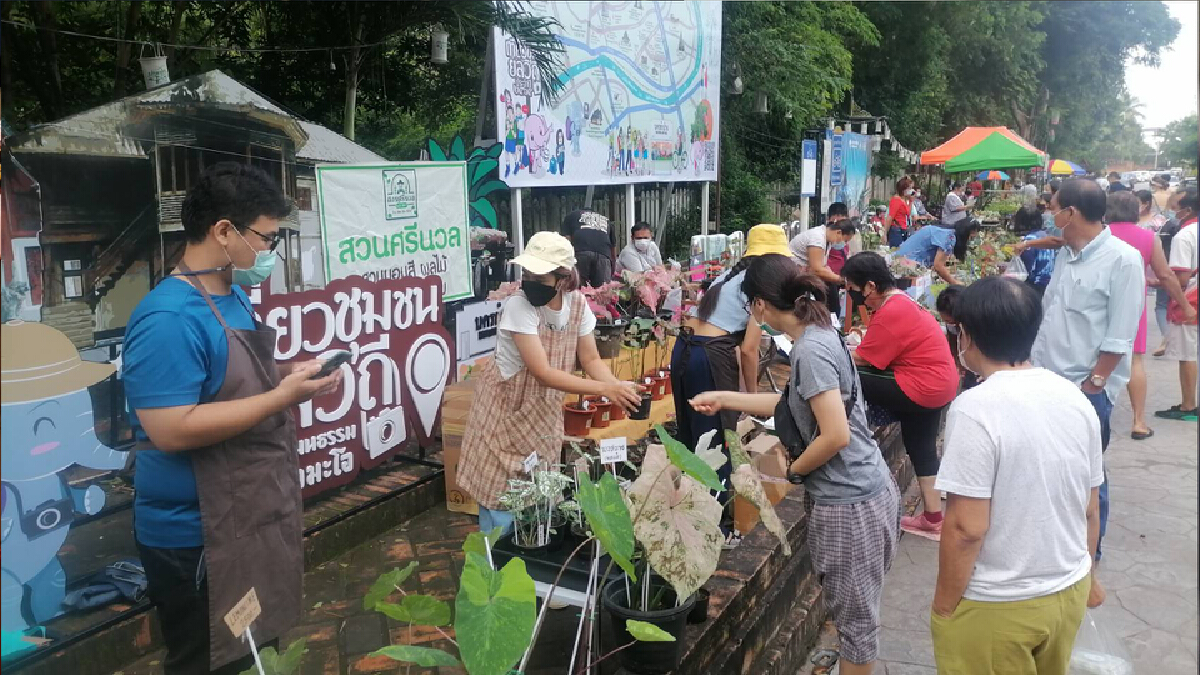 “ตลาดบอนสี”ถนนวัฒนธรรมลำปาง-ราคาหลักสิบยันแสน “ตลาดบอนสี”ถนนวัฒนธรรมลำปาง-ราคาหลักสิบยันแสน