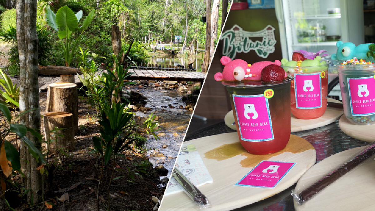 กินเจไม่จำเจหลากเมนู คาเฟ่ป่าในเมืองตรัง กินเจไม่จำเจหลากเมนู คาเฟ่ป่าในเมืองตรัง