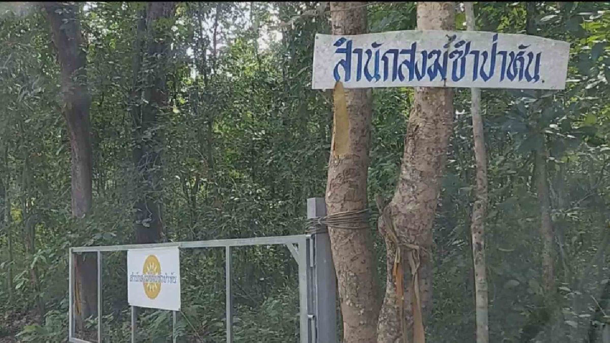 พ่อพระเพี้ยนเผยจบวนศาสตร์เคยหลงป่าห้วยขาแข้งออกมาบวชไม่สึก