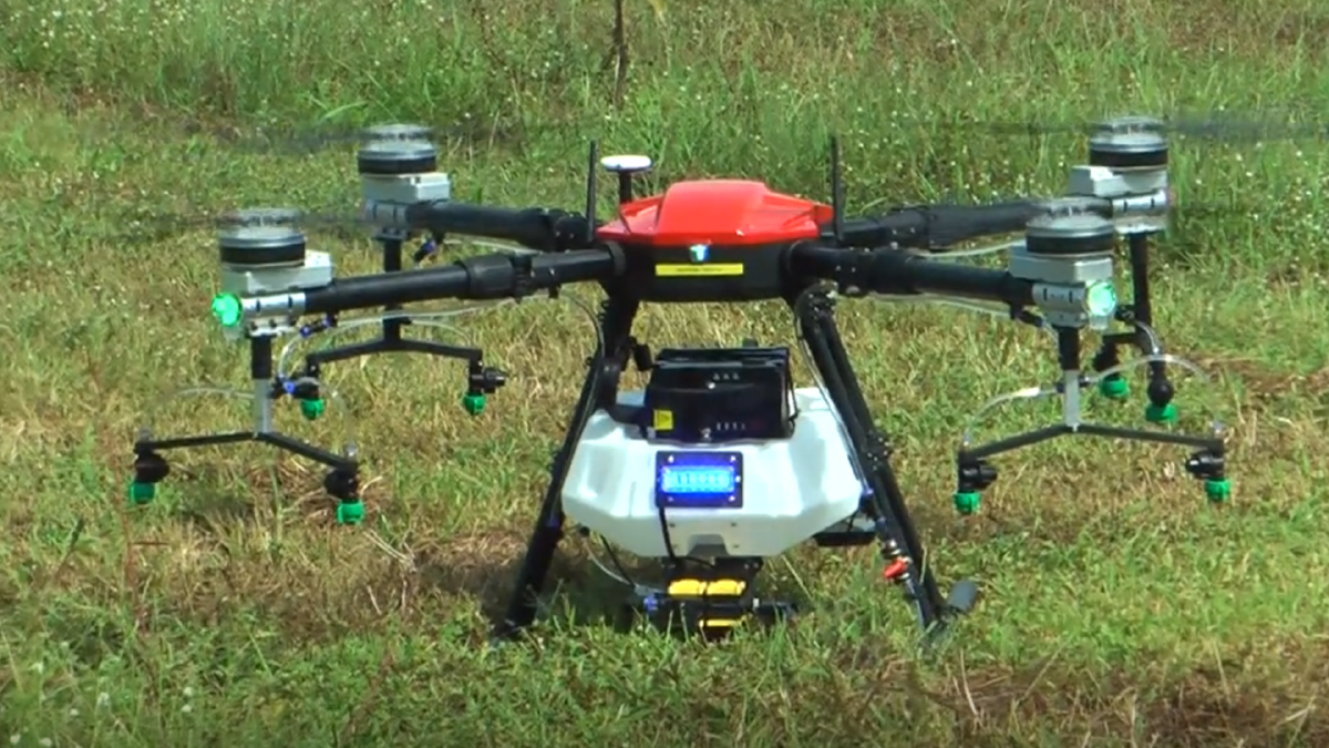 ชาวสวนพิษณุโลกใช้ ‘โดรน‘ เพิ่มมูลค่ามะม่วง