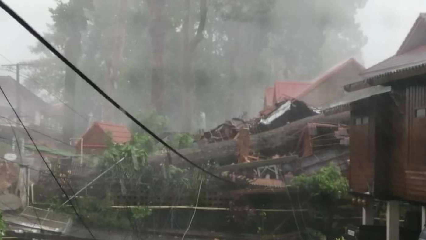 ระทึก! ต้นยางนายักษ์ถนนสารภีหักโค่น ทับบ้านเรือน ทรัพย์สินเสียหายยับ ระทึก! ต้นยางนายักษ์ถนนสารภีหักโค่น ทับบ้านเรือน ทรัพย์สินเสียหายยับ