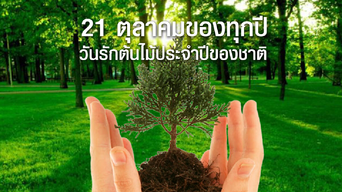 21 ตุลาคม “วันรักต้นไม้ประจำปีของชาติ”