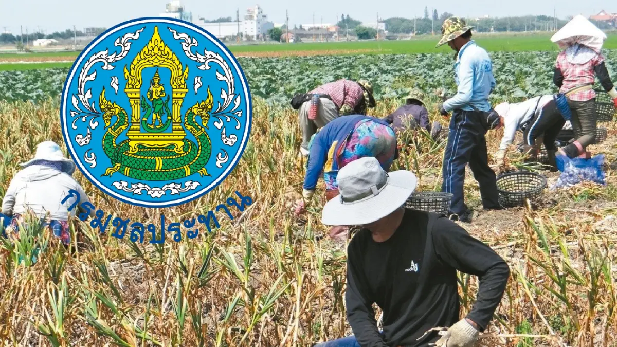 เช็กเลย กรมชลประทาน รับสมัครแรงงานทั่วประเทศ 75,000 คน เช็กเลย กรมชลประทาน รับสมัครแรงงานทั่วประเทศ 75,000 คน