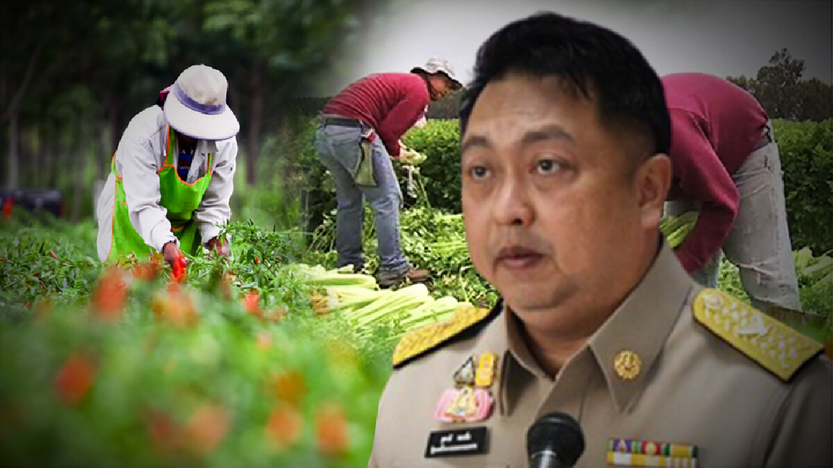 รมว.แรงงาน เผยโควตา ปี 65  อิสราเอลรับแรงงานภาคเกษตร 6,500 คน