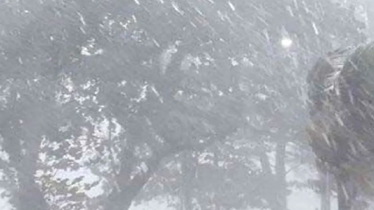สภาพอากาศวันนี้ กรมอุตุฯ เผย ใต้ยังอยู่ในอิทธิพลมรสุม ทุกภาคมีฝนตกเล็กน้อย