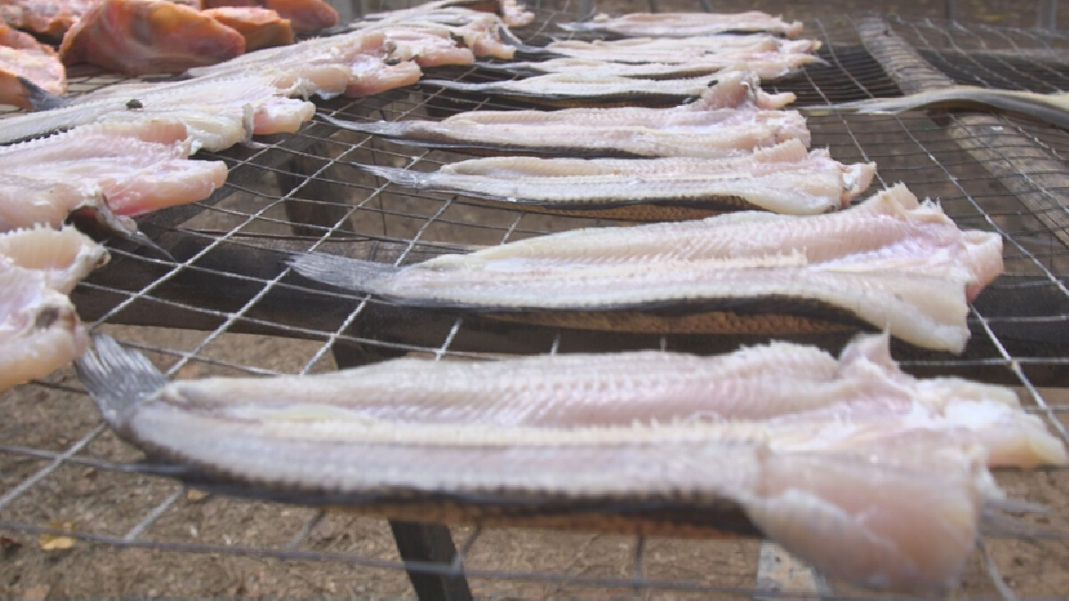 สินค้าขึ้นชื่อ!ผลิต“ปลาเกลือแดดเดียว”โกยเงินเดือนละครึ่งล้าน