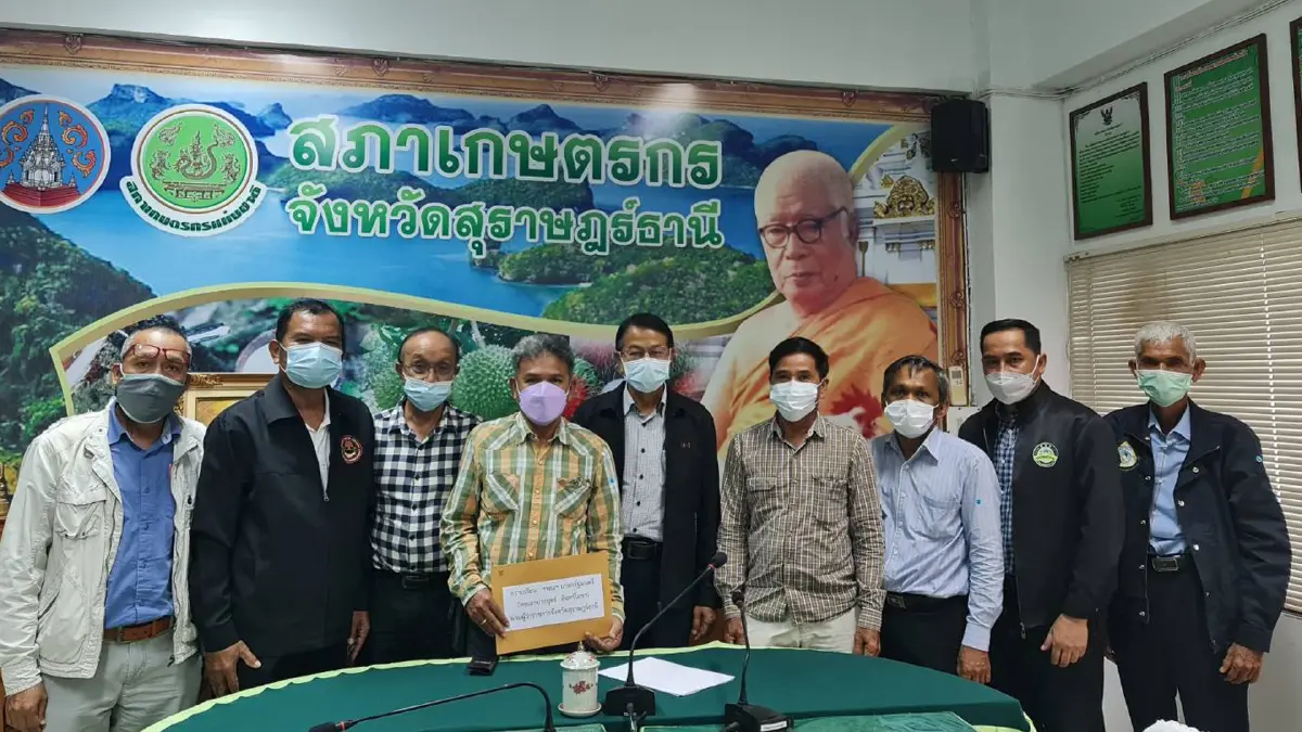 ชาวสวนปาล์มใต้เคลื่อนไหว กบง.ปรับสูตรดีเซลเอื้อนายทุน ชาวสวนปาล์มใต้เคลื่อนไหว กบง.ปรับสูตรดีเซลเอื้อนายทุน