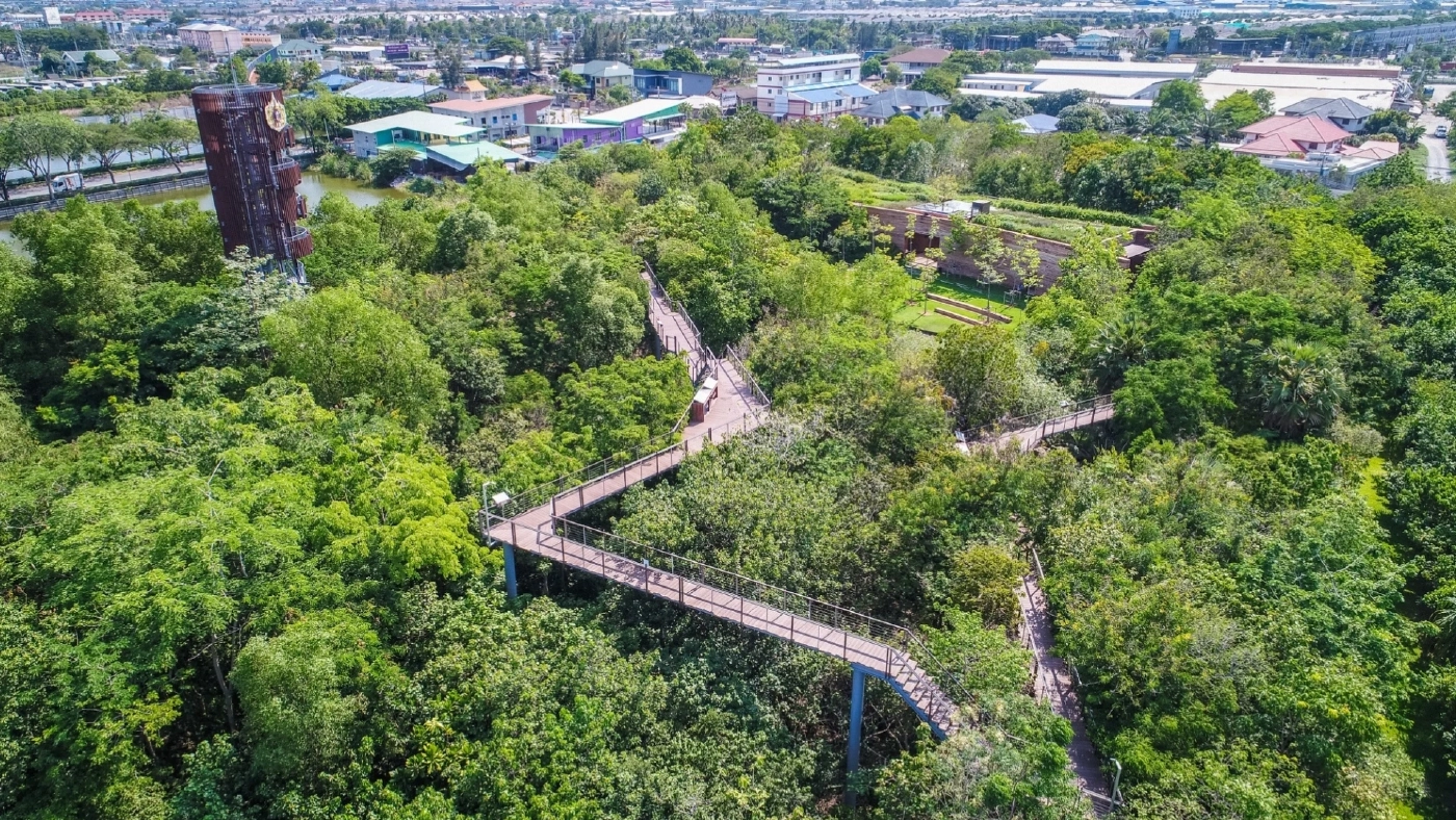 เปิดให้ชมแล้ว "ศูนย์เรียนรู้ป่าในกรุง" สัมผัสป่า ไม่ต้องเดินทางไกล