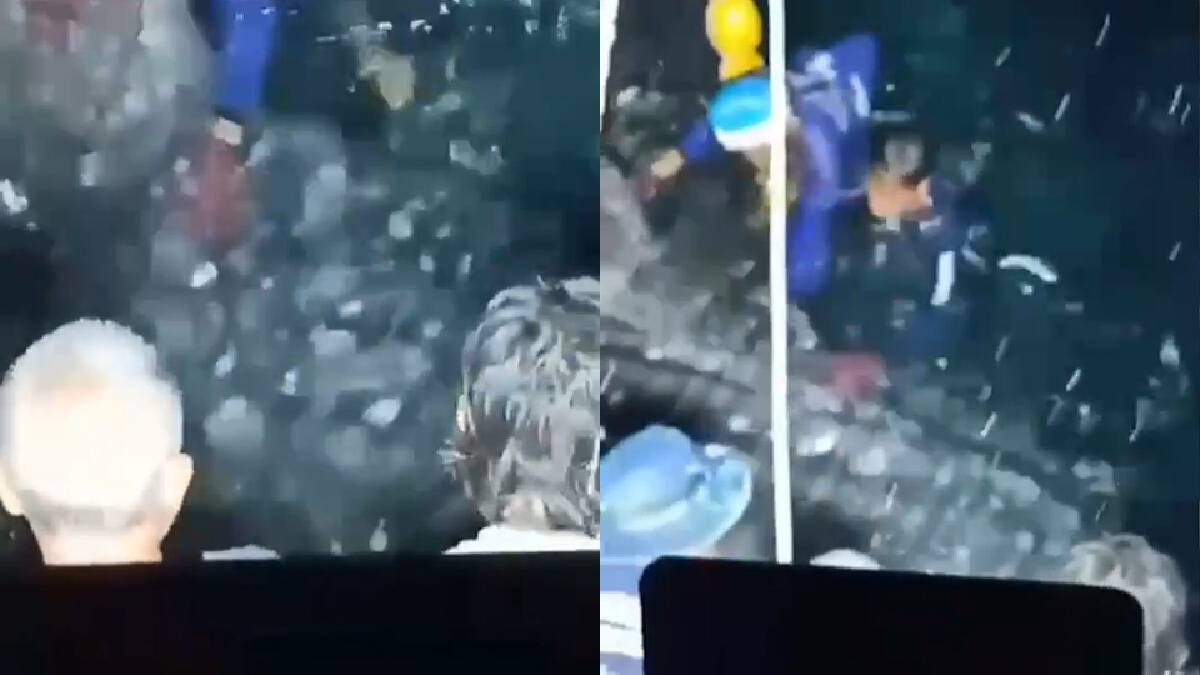 ลูกเรือประมงช่วย "ฉลามวาฬ" ติดอวนคืนสู่ทะเล ลูกเรือประมงช่วย "ฉลามวาฬ" ติดอวนคืนสู่ทะเล