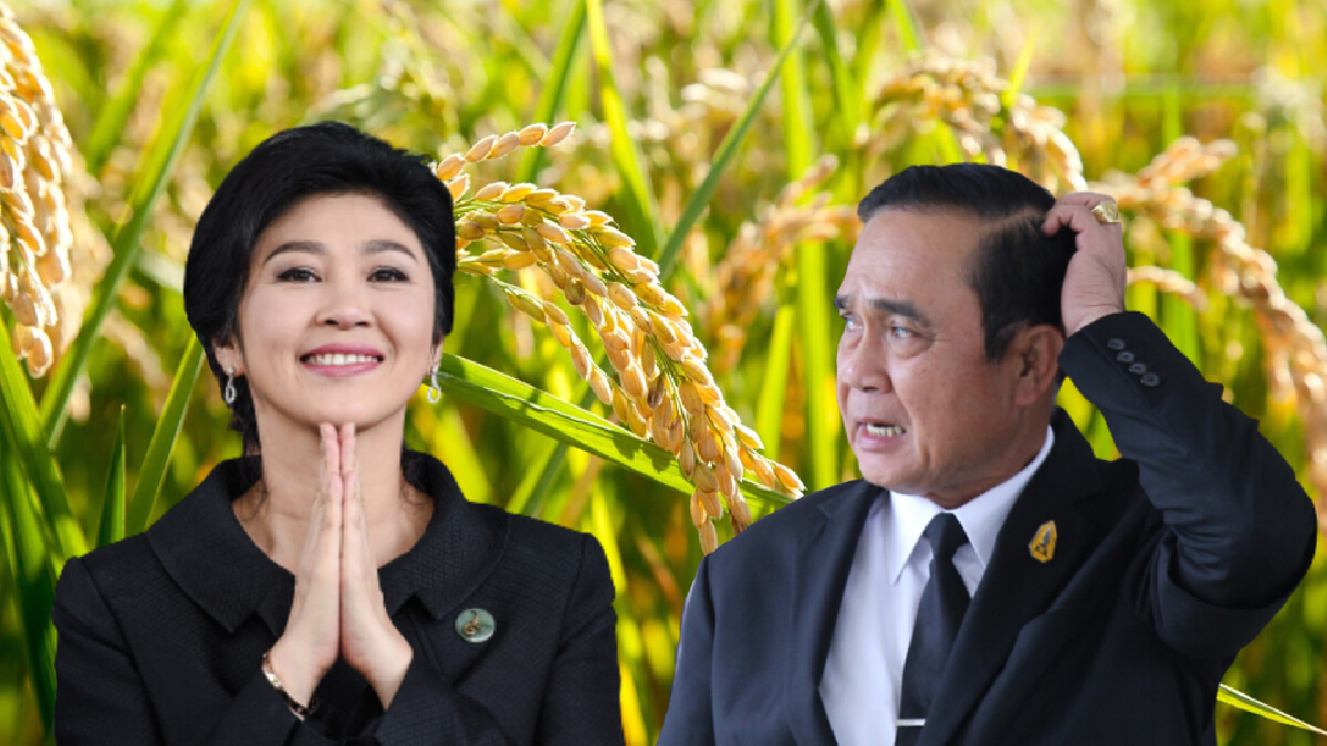 พท.อวย"ยิ่งลักษณ์"อัด 7 ปี"บิ๊กตู่"เทียบไม่ติดแก้ปัญหาราคาข้าวตกต่ำ พท.อวย"ยิ่งลักษณ์"อัด 7 ปี"บิ๊กตู่"เทียบไม่ติดแก้ปัญหาราคาข้าวตกต่ำ