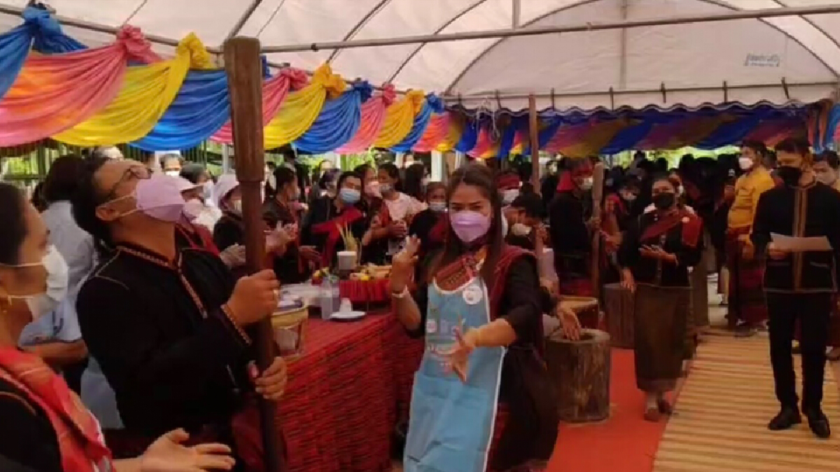 ชนเผ่ากูย จัดงาน โฮมแซมซาย แอบุญ จา ปอม กินข้าวเม่า