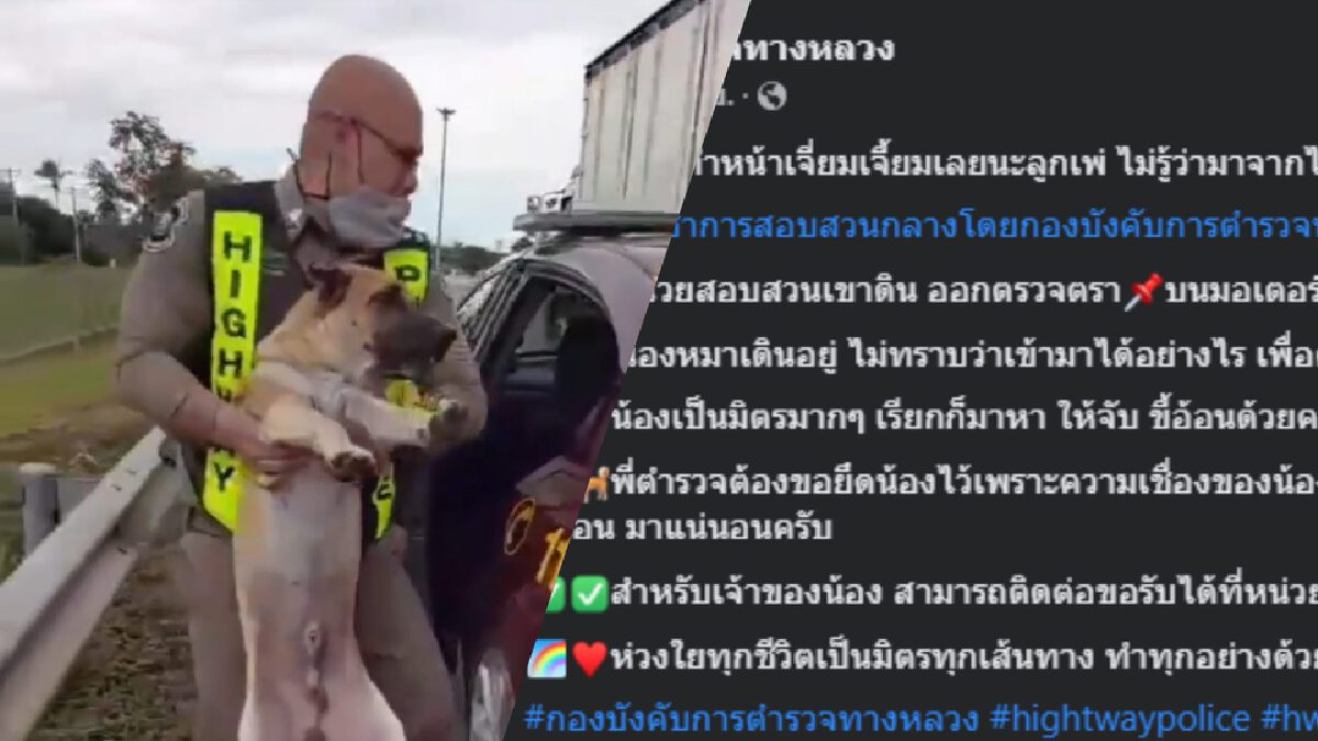 แห่ชื่นชม "ตำรวจทางหลวง" ช่วยเหลือ "น้องหมา" หลงทางบนมอเตอร์เวย์ แห่ชื่นชม "ตำรวจทางหลวง" ช่วยเหลือ "น้องหมา" หลงทางบนมอเตอร์เวย์