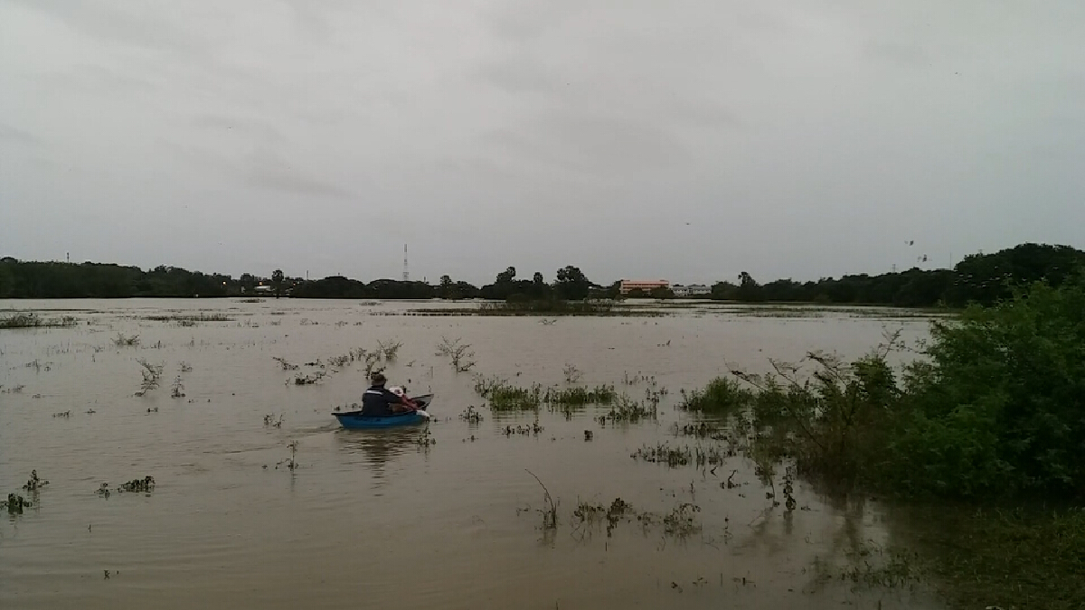 ฝนถล่มต่อเนื่องแก้มลิงเต็มพิกัด จ่อน้ำหลากท่วมเมืองนครศรีฯ ฝนถล่มต่อเนื่องแก้มลิงเต็มพิกัด จ่อน้ำหลากท่วมเมืองนครศรีฯ