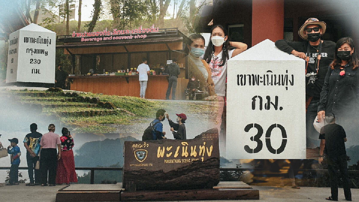 คึกคัก! เปิดพะเนินทุ่งวันแรก นทท.แห่สัมผัสธรรมชาติ รับเปิดประเทศ คึกคัก! เปิดพะเนินทุ่งวันแรก นทท.แห่สัมผัสธรรมชาติ รับเปิดประเทศ