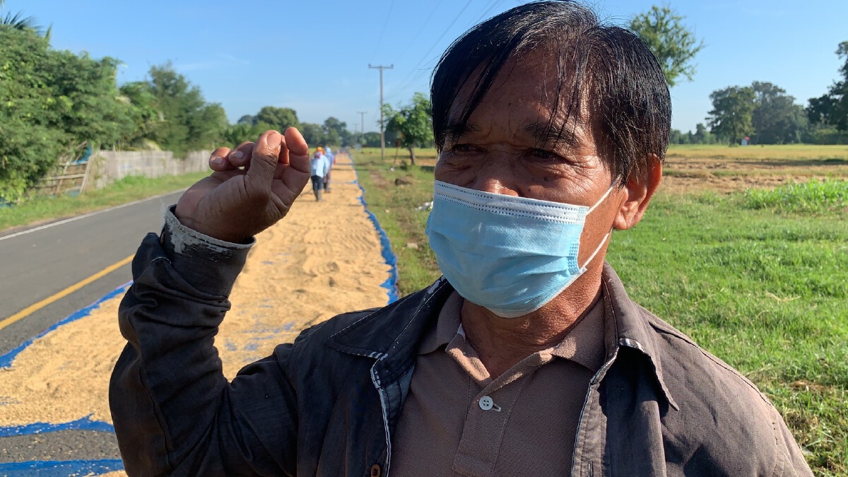 ราคาข้าวดิ่งต่ำสุดในรอบ 10 ปี ทุกข์เกษตรกร