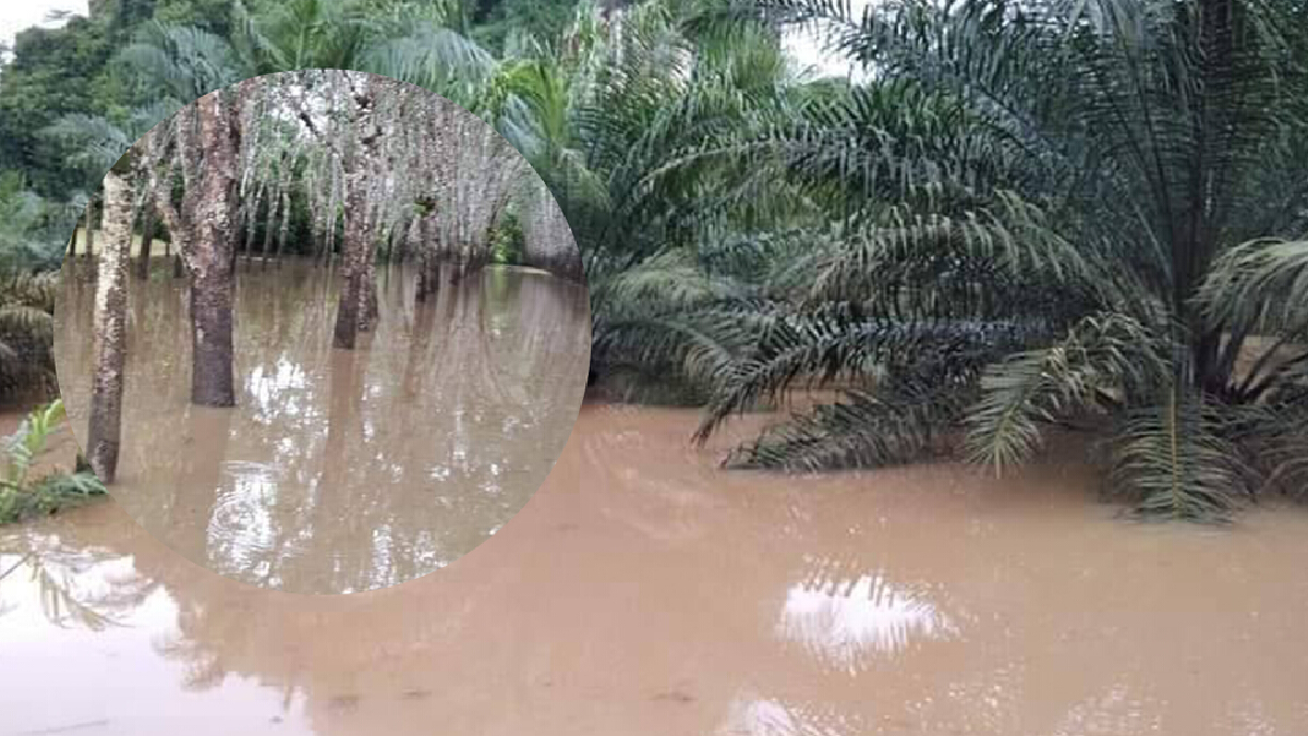 ภาคใต้ฝนยังตกหนัก กอนช.เตือนน้ำท่วม-ดินถล่ม 1-2 วันนี้ ภาคใต้ฝนยังตกหนัก กอนช.เตือนน้ำท่วม-ดินถล่ม 1-2 วันนี้