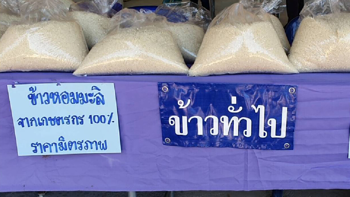 เกษตรบัวใหญ่จัดสัปดาห์ขายข้าวสารราคาถูก ช่วยเหลือชาวนา เกษตรบัวใหญ่จัดสัปดาห์ขายข้าวสารราคาถูก ช่วยเหลือชาวนา