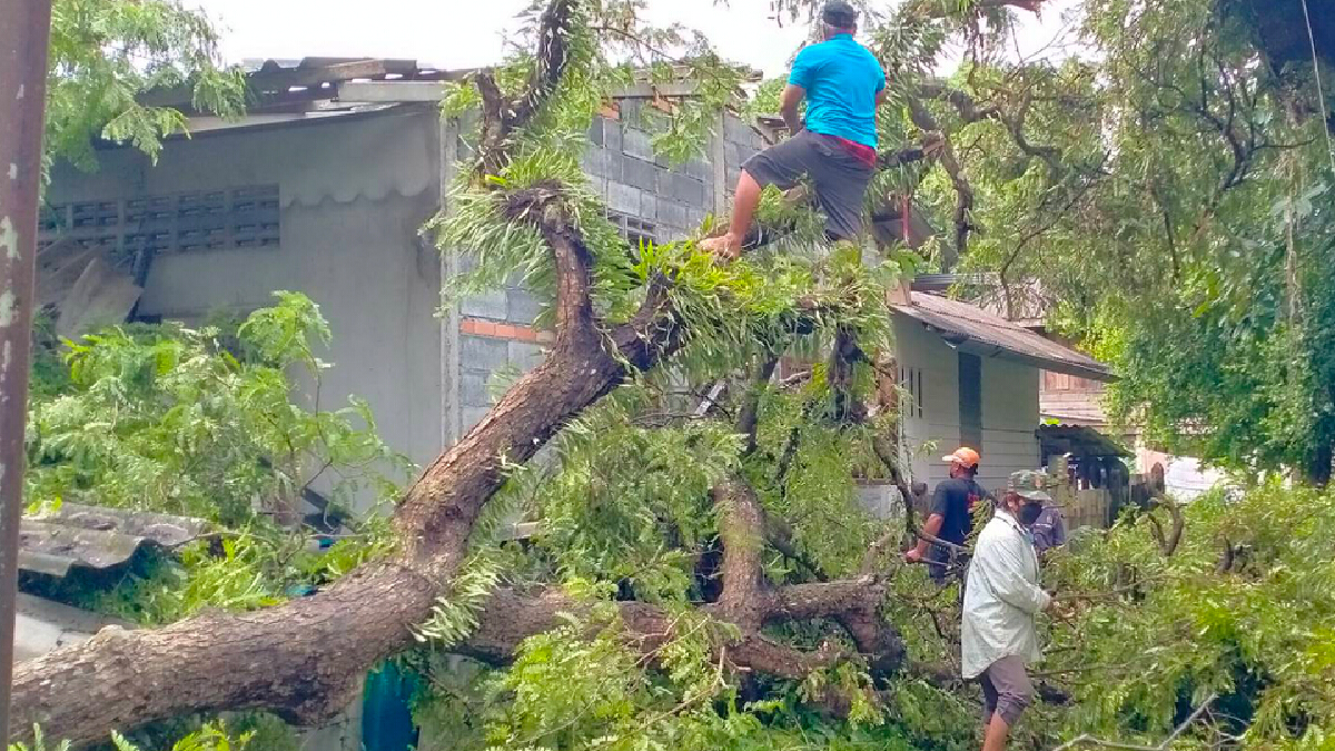 พายุถล่มพัดต้นมะขามยักษ์ทับบ้านพังยับ 5 ชีวิตรอด พายุถล่มพัดต้นมะขามยักษ์ทับบ้านพังยับ 5 ชีวิตรอด