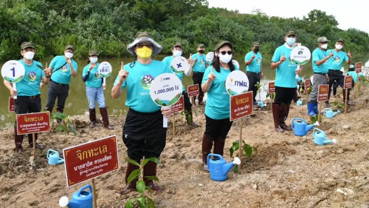 กฟผ.จับมือชาวชุมพรคิกออฟโครงการ"ปลูกป่าล้านไร่"